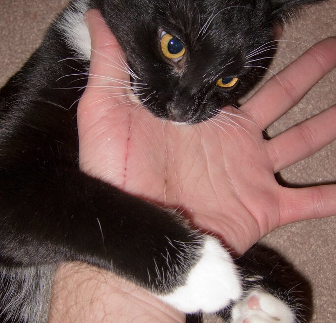 What You Should Never Do During a Bunny Kick 