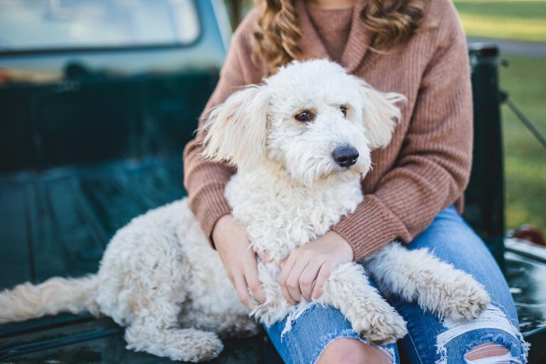 From Shelter to Safety: How Her Story Began