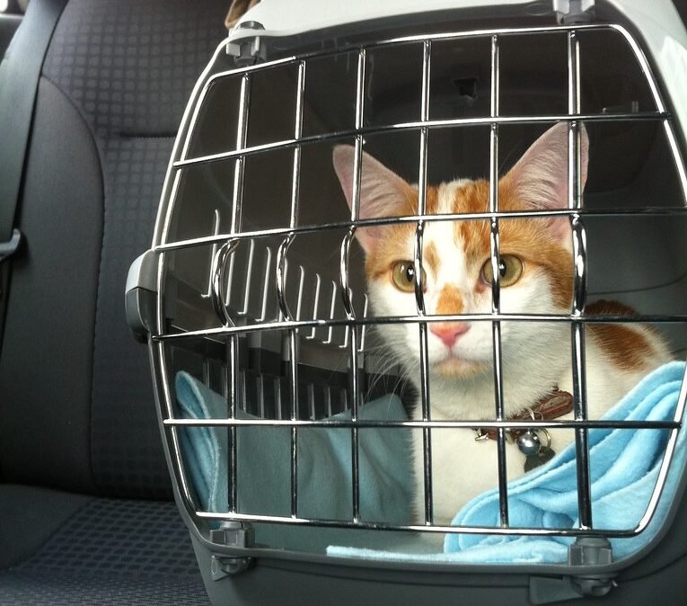 Timing and Route Planning Reduce Stress