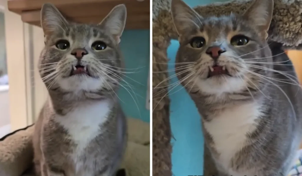 A Christmas Miracle and Broader Takeaways