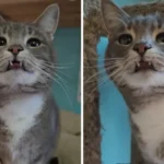 A Christmas Miracle and Broader Takeaways