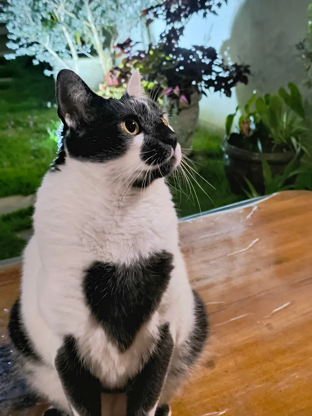 Behind the Win: What Thor Represents