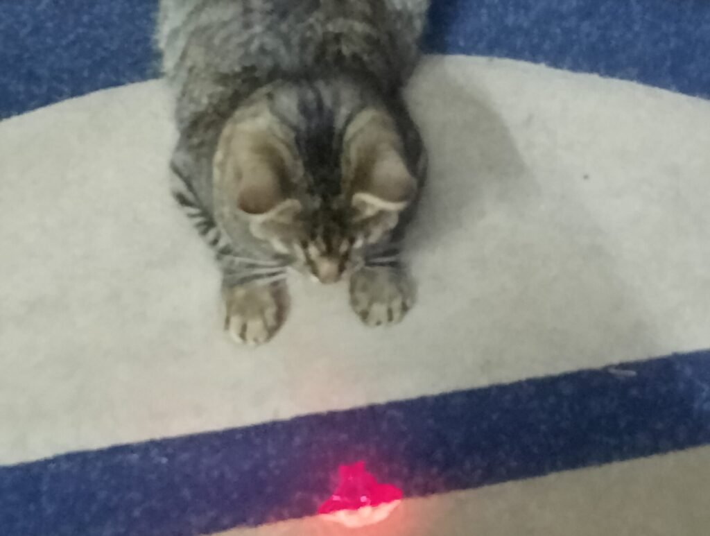 What Laser Obsession Looks Like 