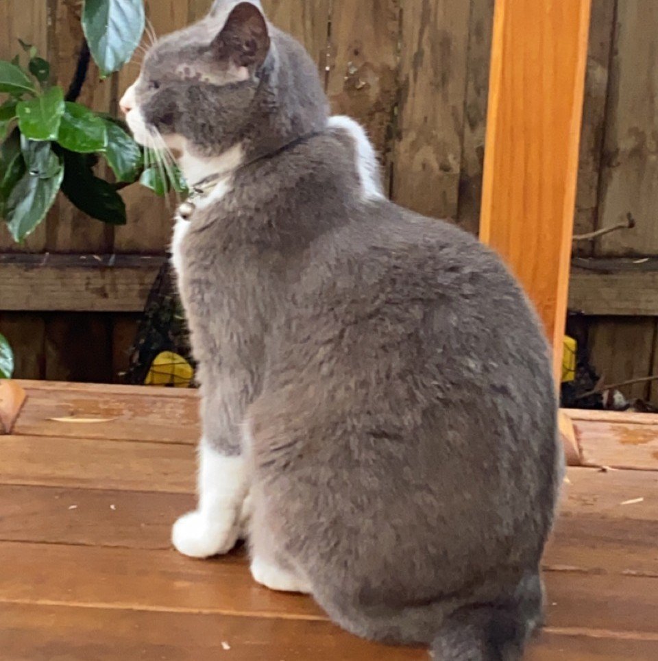 Building Trust Through Understanding