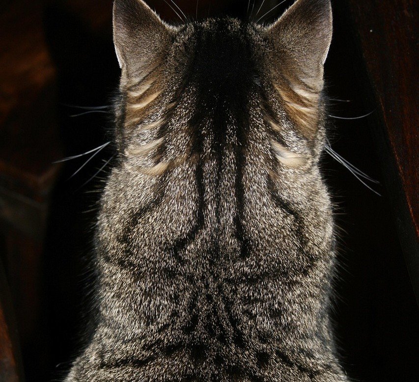 Vulnerability Equals Connection