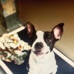 Discovery on a Cold Morning