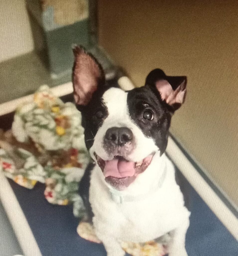 Community Reaction and Support