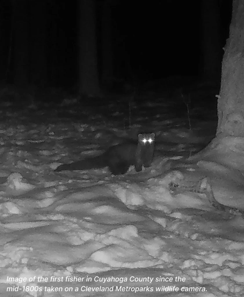 Rediscovery in Cuyahoga County