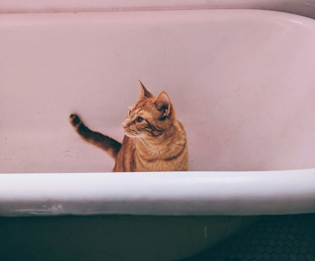 The Mystery Runs Deeper Than Simple Dislike