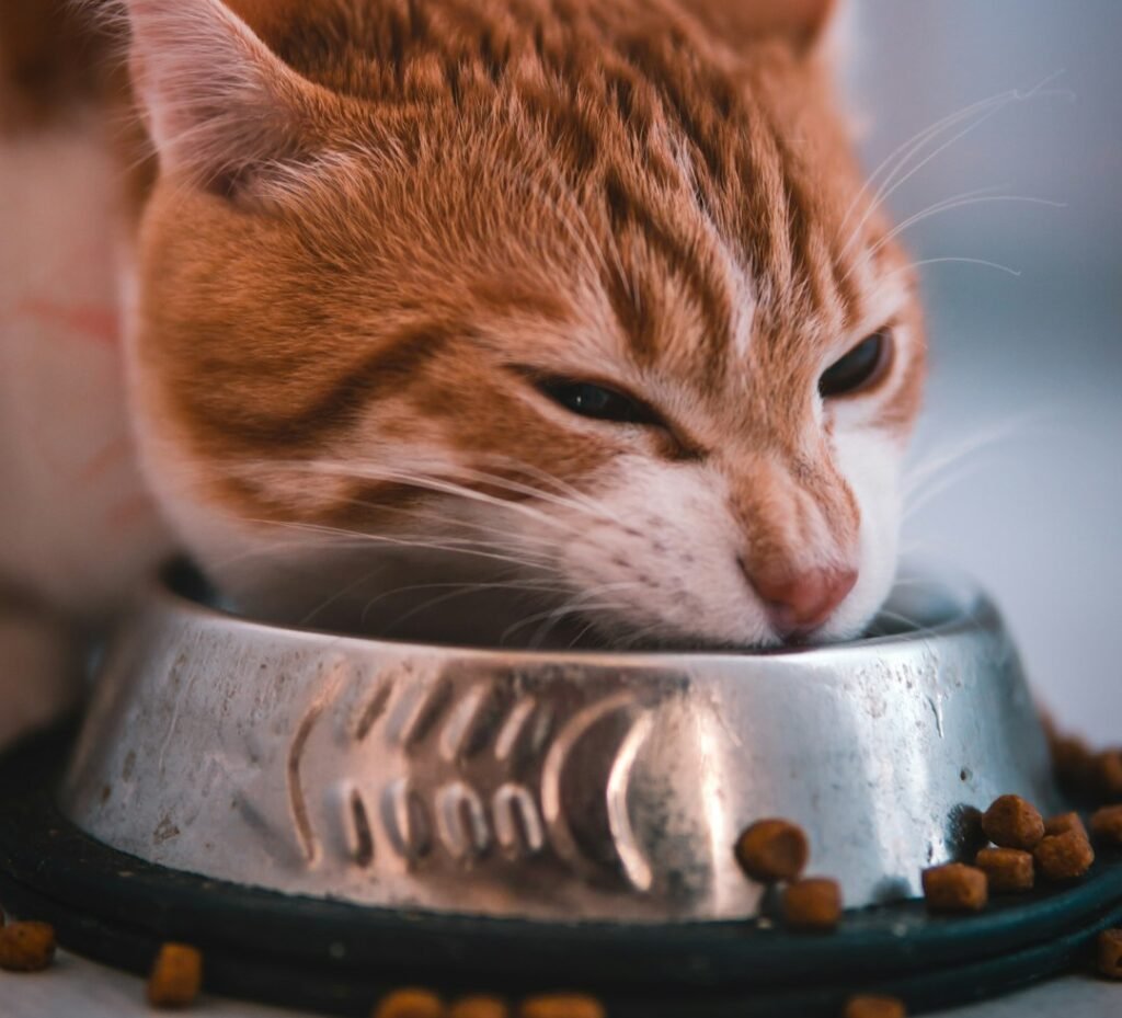 2. Eating Too Fast: When Speed Becomes a Problem