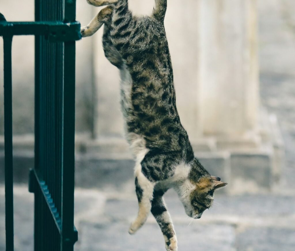 Surviving Falls From Astonishing Heights 