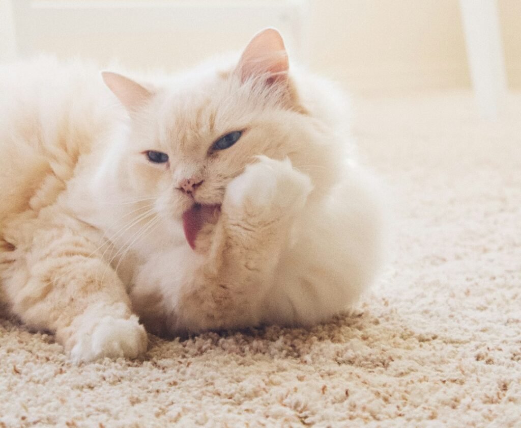 Treatment Options That Actually Work