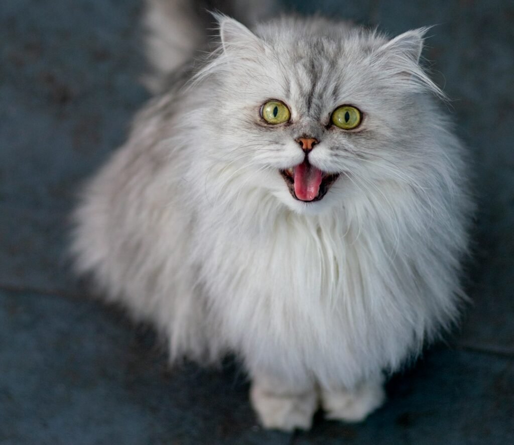 The Mystery Remains (But That's Okay)