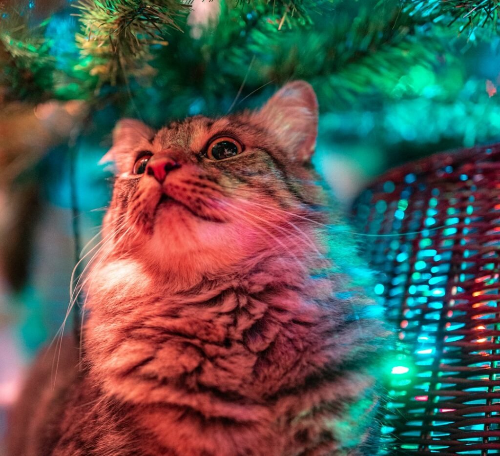 Create Physical Barriers Around the Base 