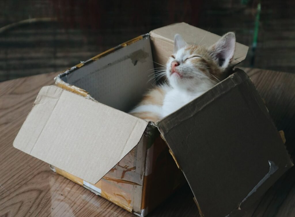 The Security Enthusiast: Enclosed Spaces and Hidden Corners 