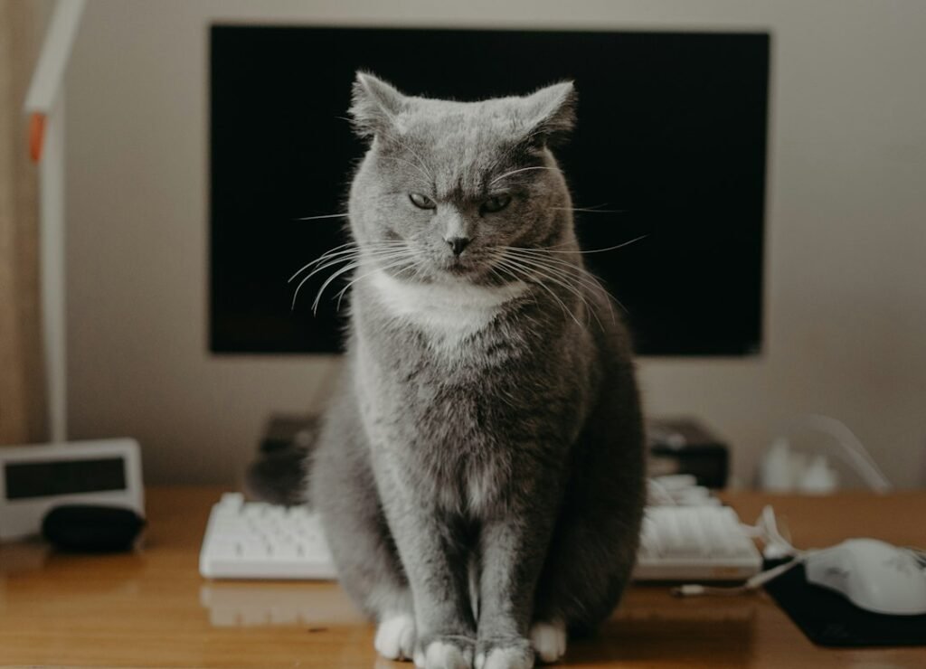 Conclusion: Embrace the Judgment