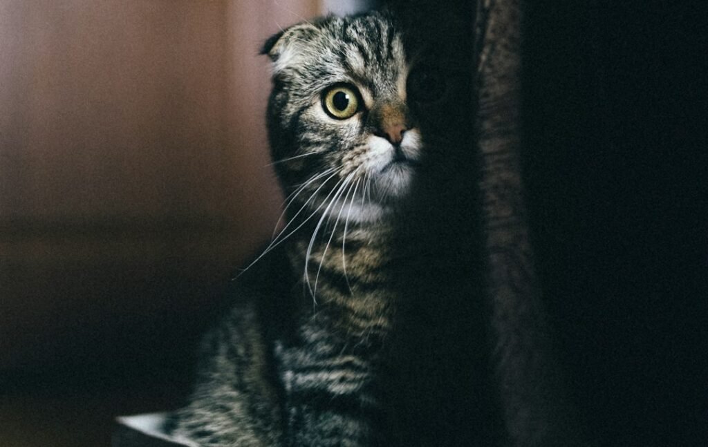 Moving Things Around Too Often