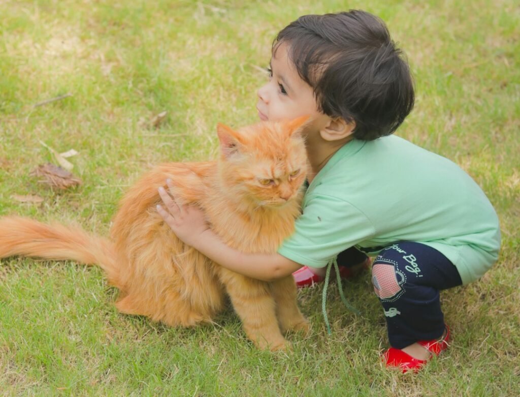 Building Emotional Intelligence Through Feline Friendship