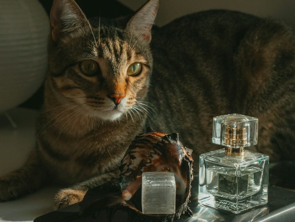 Drowning Them In Strong Scents And Perfumes