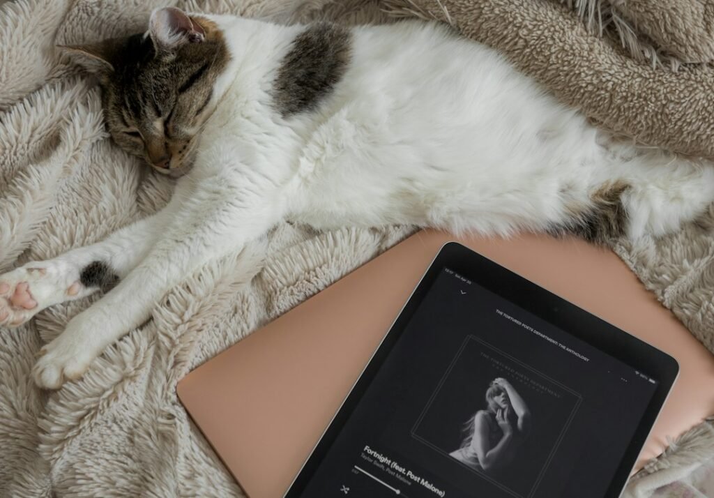 Music Specifically Composed for Felines