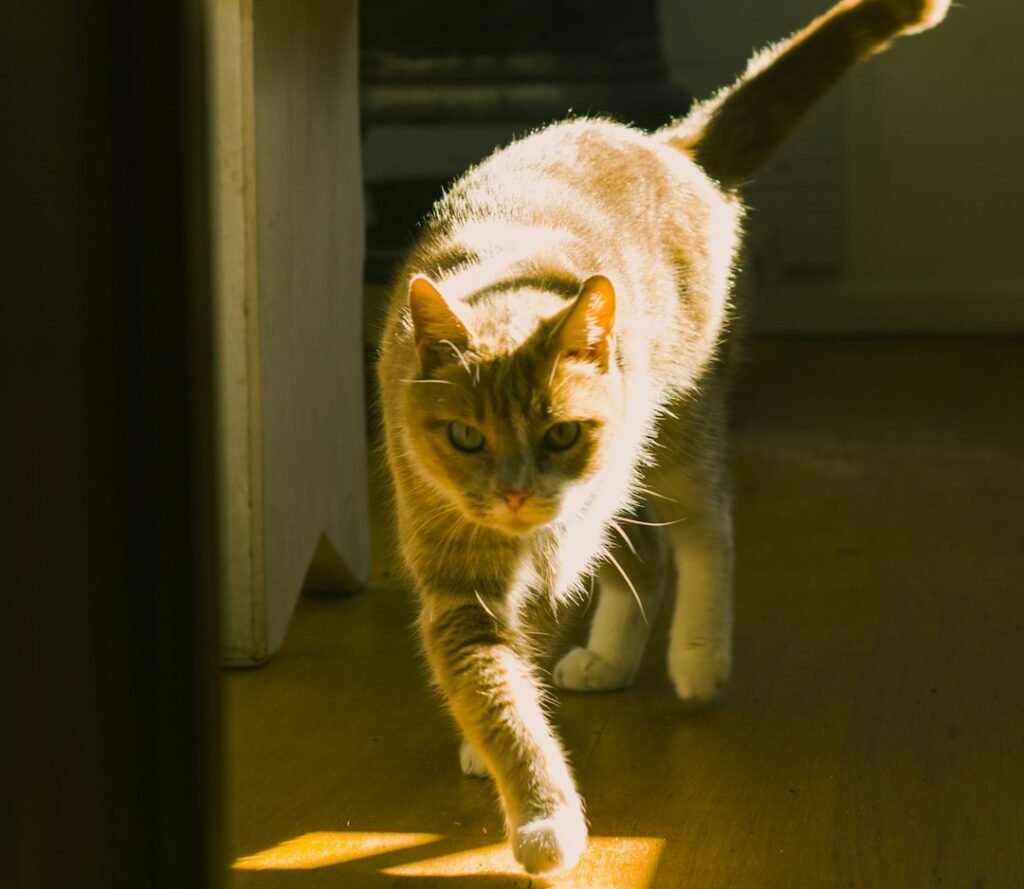 The Science Behind Those Wild Sprints