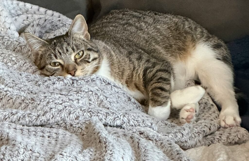 They Know It Gets Your Attention