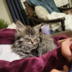 Community Makes a Connection