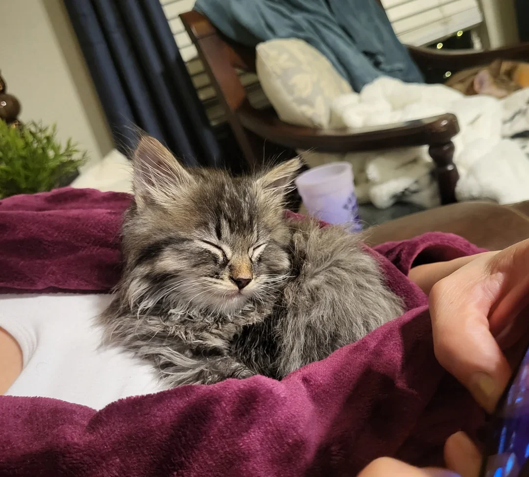 Community Makes a Connection