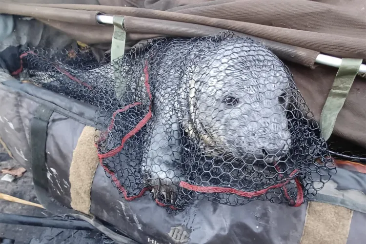 Sunshine: A New Name and a Fresh Start