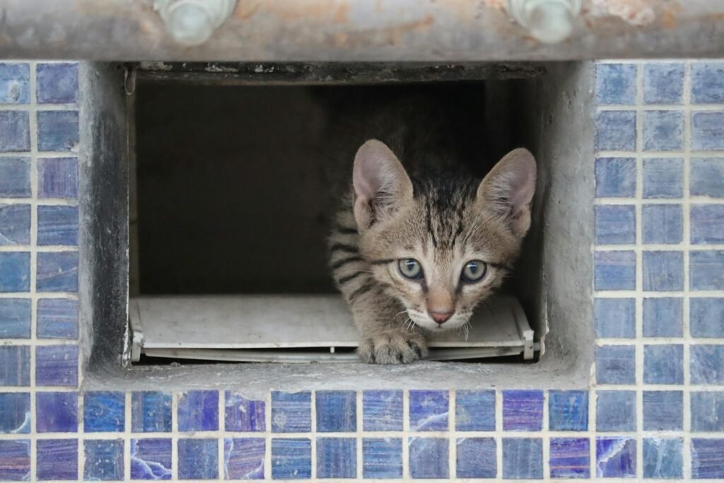 Technology and Teamwork Change the Game