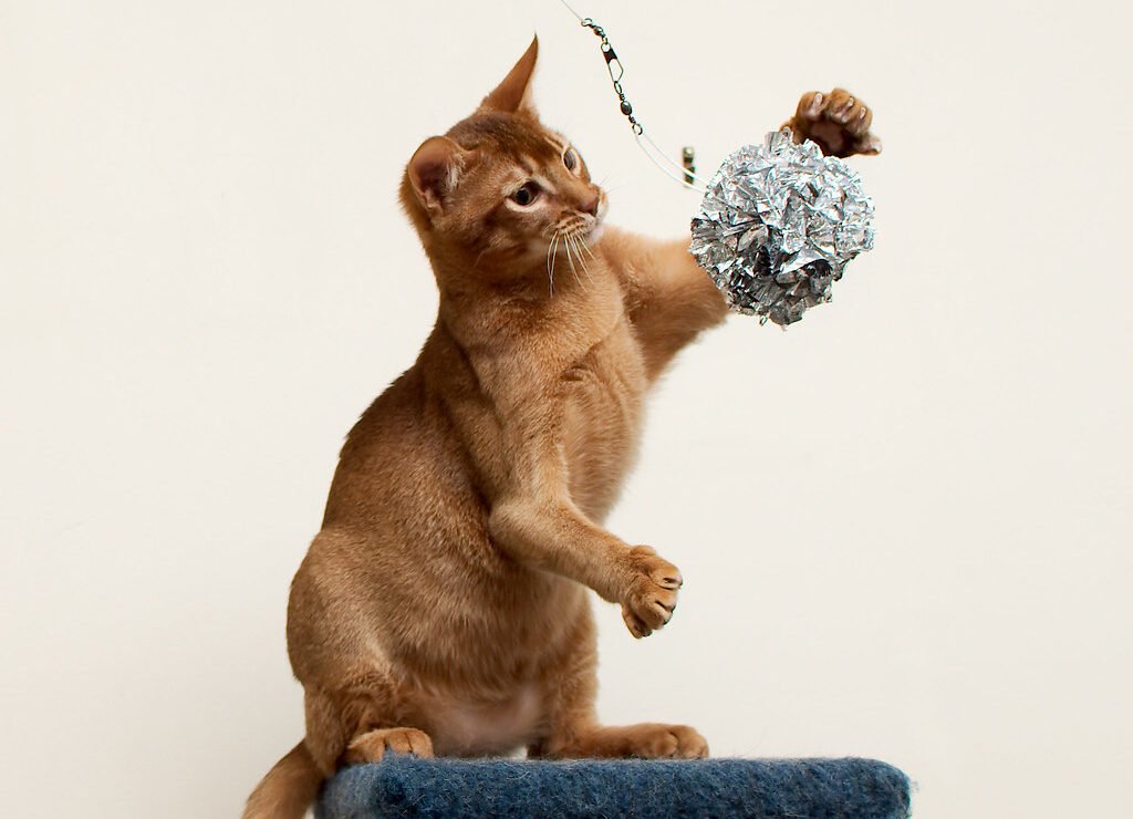 The Power of Unpredictable Movement