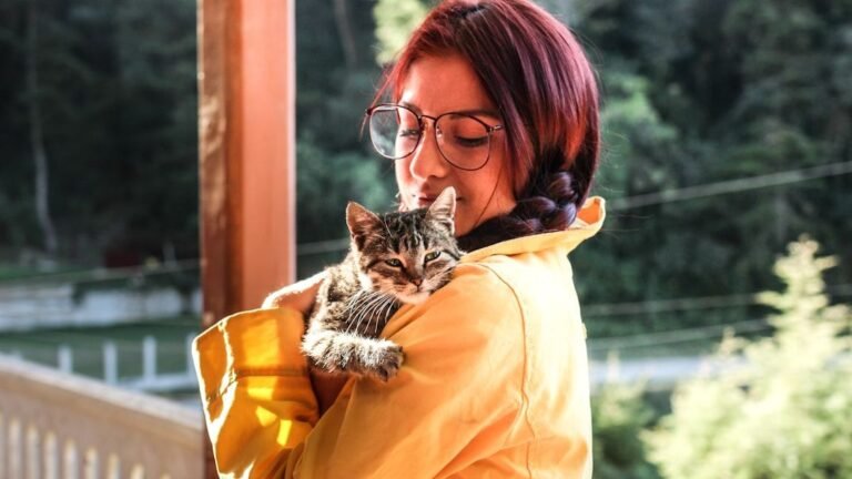 If Your Cat Behaves Like This, It Trusts You Completely (Even with Its Life)