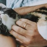 8 Things Your Cat Does When It's Safe With You