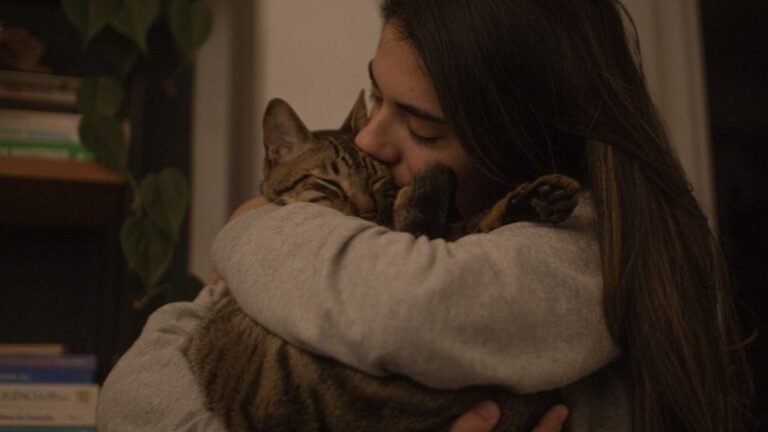 How Your Zodiac Sign Influences the Way You Bond With Your Cat