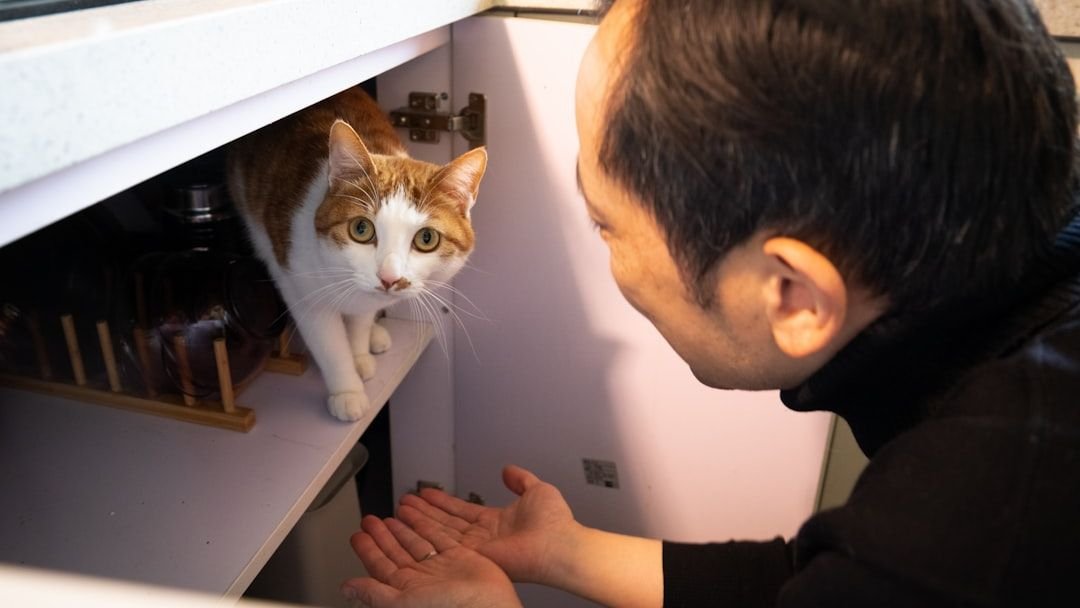 Zodiac–Cat Matches That Look Perfect - But Slowly Fall Apart