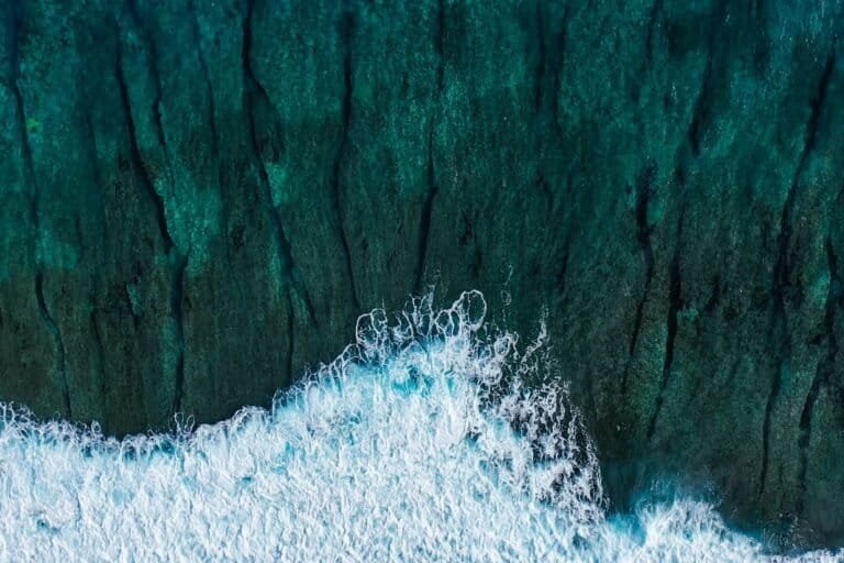 Marine protected areas expanded in 2025, but still far from 30% goal