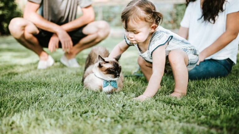 7 Cat Breeds You Need To Avoid With Children At Home