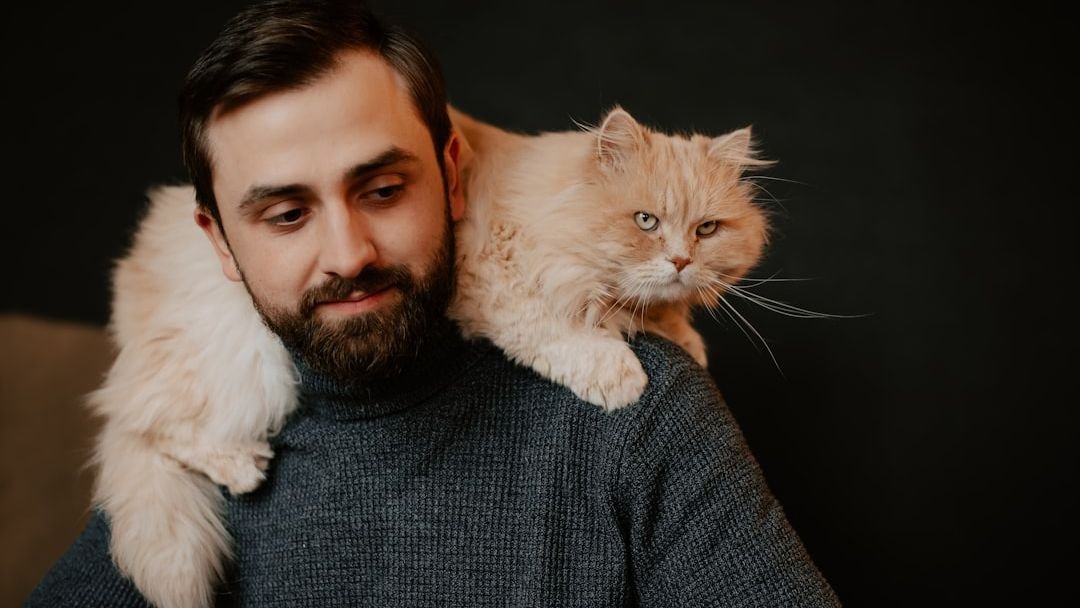 7 Subtle Signs Your Cat Considers You Their Ultimate Protector