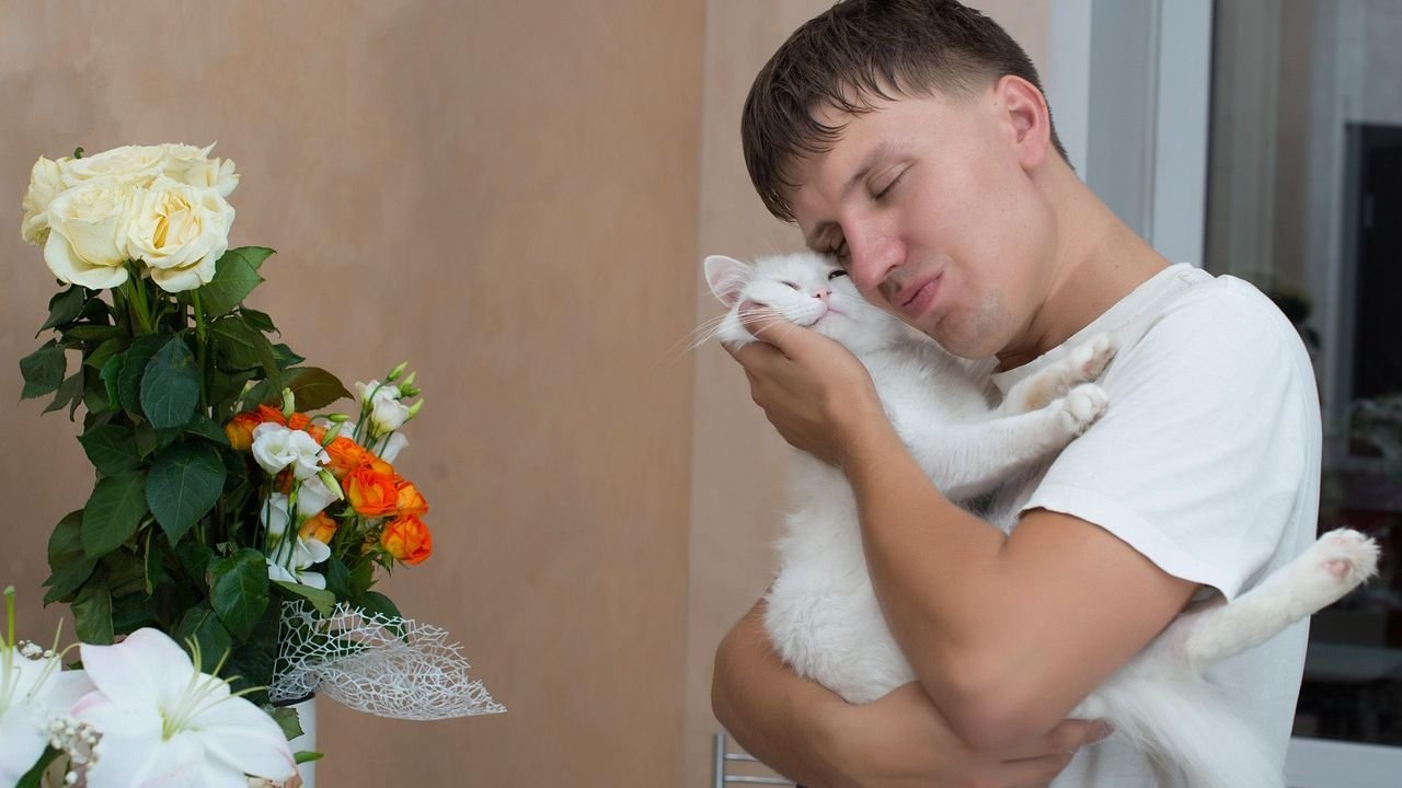 7 Surprising Ways Your Cat Shows You Undying Loyalty