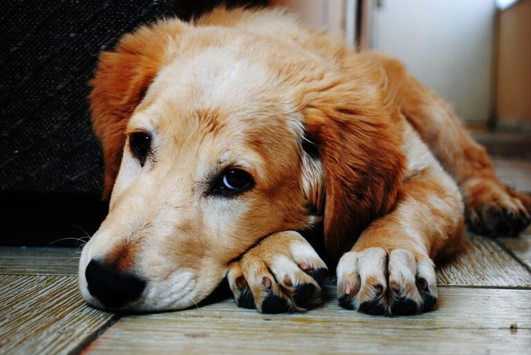 The Emotional Toll of Being Left Behind