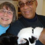 10 Gentle Cat Breeds for Seniors Aging in Place in California