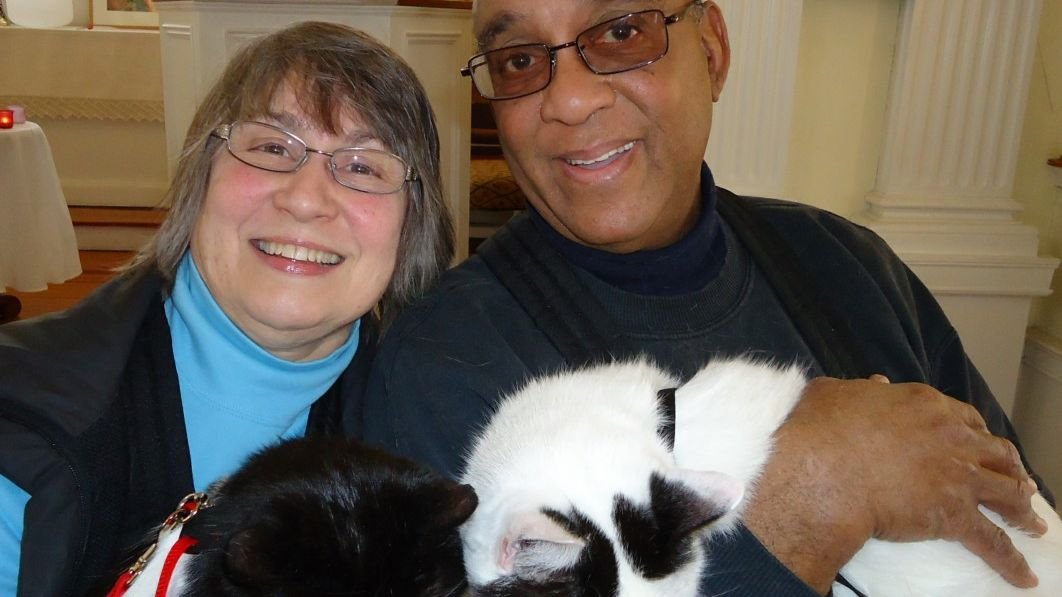 10 Gentle Cat Breeds for Seniors Aging in Place in California