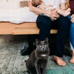 5 Cat Breeds That Belong In Families (And 5 That Prefer Single Owners)