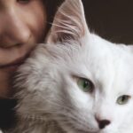 8 Amazing Things Your Cat Learns From Watching Your Daily Routines