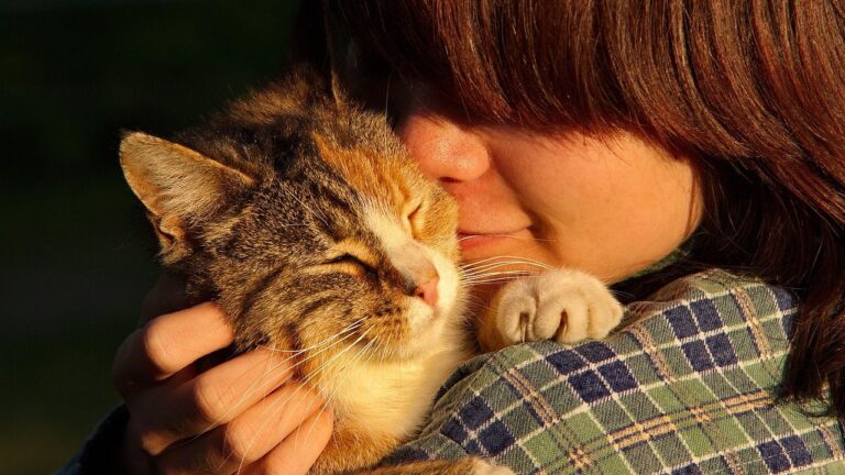 5 Simple Tricks to Make Your Cat Feel More Cherished and Understood