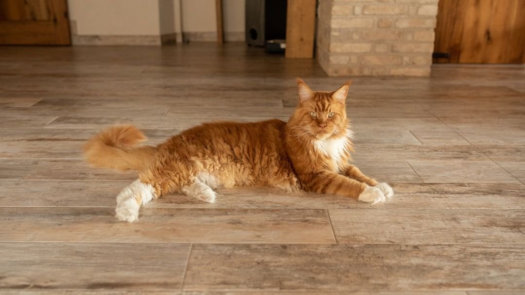 10 Cat Breeds Vets Say Are the Worst To Keep In Apartments
