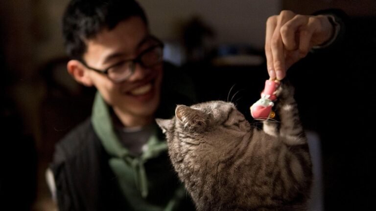7 Ways to Build a Stronger, More Loving Bond With Your Feline