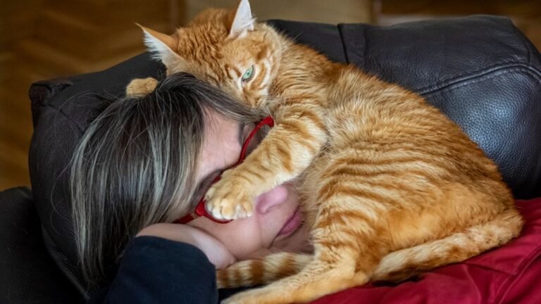Cats Know Your Secrets: They Understand Your Moods Better Than You Realize