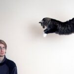 How Do Cats Always Land on Their Feet? The Physics Behind the Feline Flip