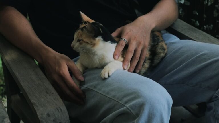 This Is What Happens When a Cat Finally Trusts You - #7 Will Melt Your Heart